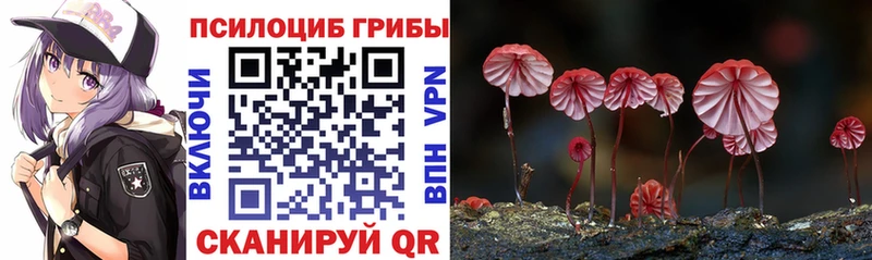 Псилоцибиновые грибы GOLDEN TEACHER  наркотики  Пятигорск 